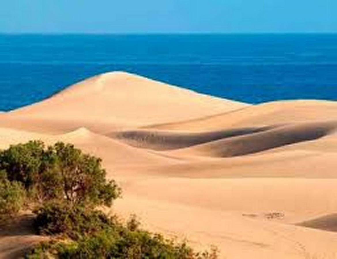 Bungalow Dunas&Sea Maspalomas ماسبالوماس المظهر الخارجي الصورة